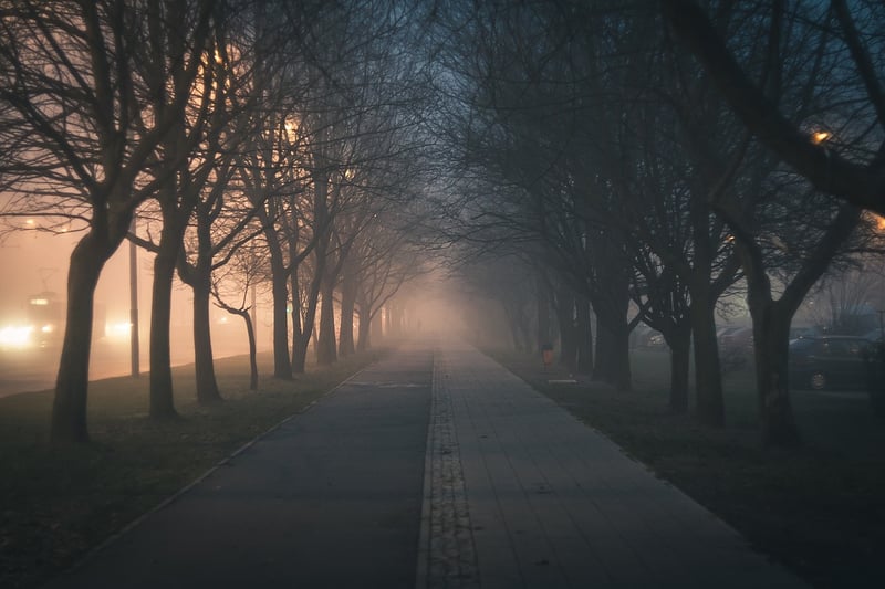 Mystical walkways