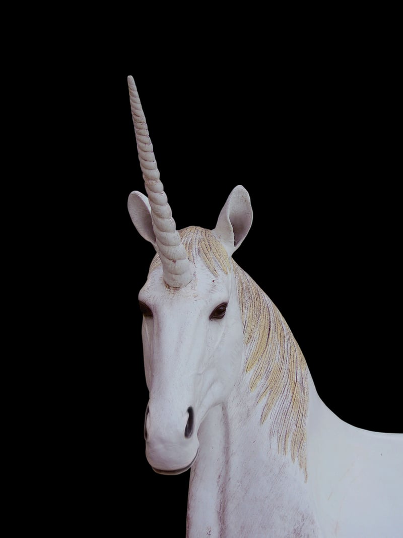 Unicorn meadows