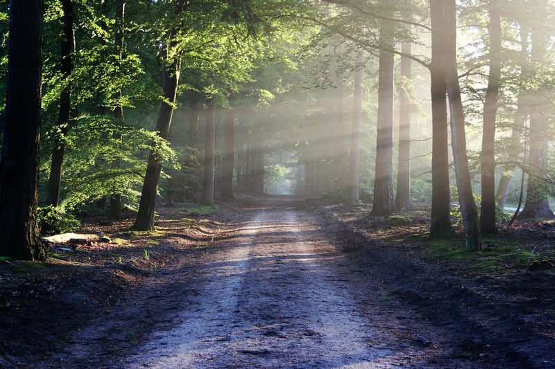 Whimsical paths