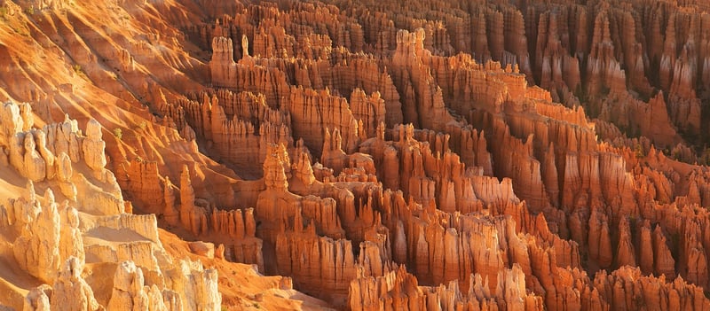 Whimsical terrain