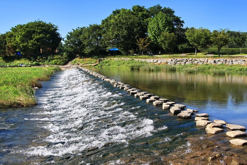 Stone Stepping Stones